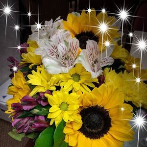 Meet your Posher, Sandy